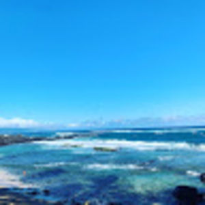 Meet your Posher, Shayna